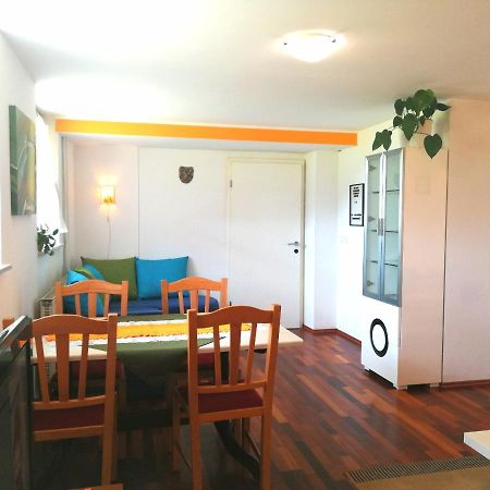 Mateja House - Apartments In Zirovnica Родине Экстерьер фото