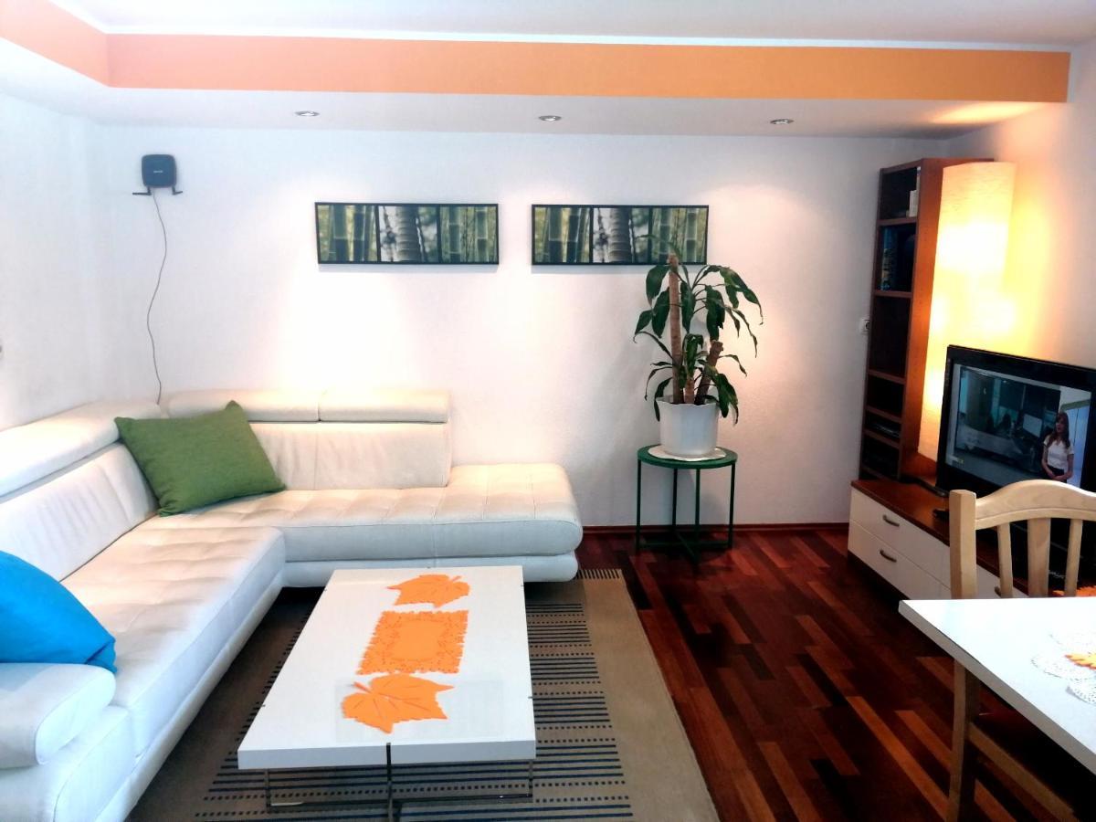 Mateja House - Apartments In Zirovnica Родине Экстерьер фото
